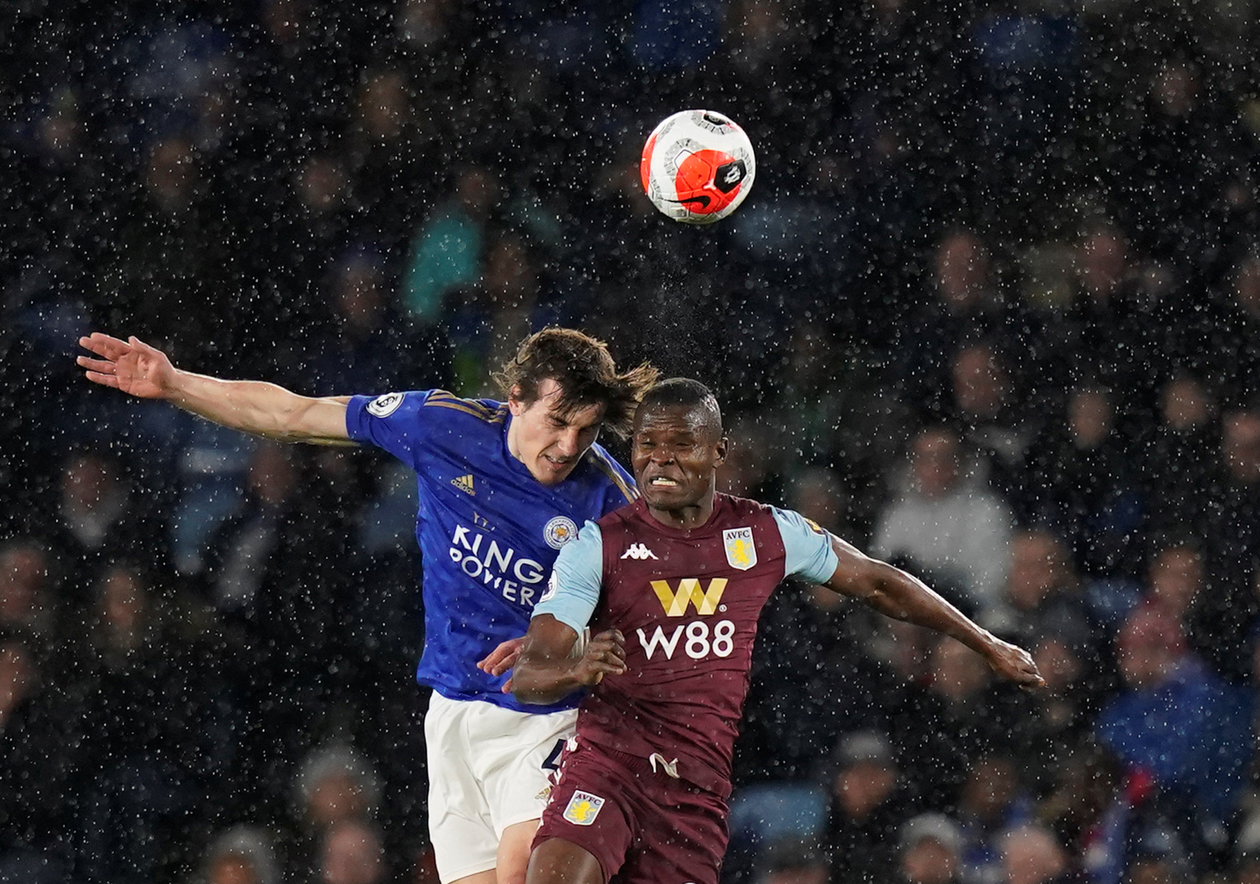 的忠实粉丝 的忠实粉丝