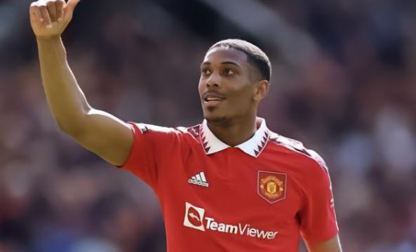 会采取几种 会采取几种